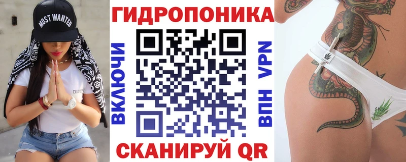mega tor Стародуб Конопля AK-47